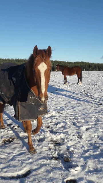 Det är du som&nbsp;bestämmer!