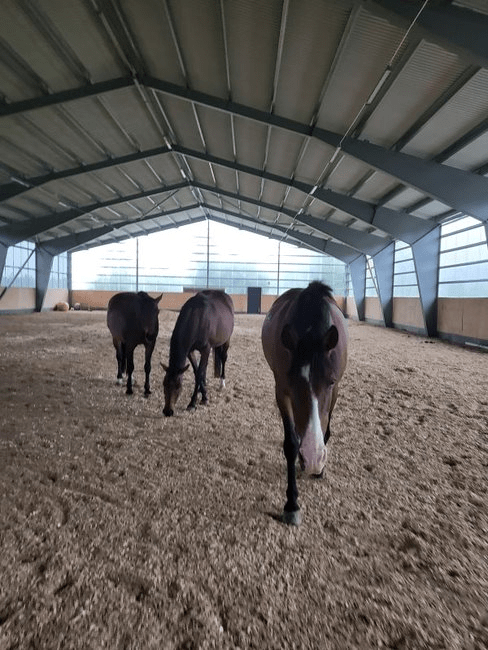 En riktig rövarsommar