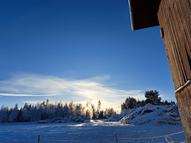 Kyliga lifehacks för&nbsp;hästhållare